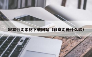 舞钢寂寞行走素材下载网站（寂寞走是什么歌）